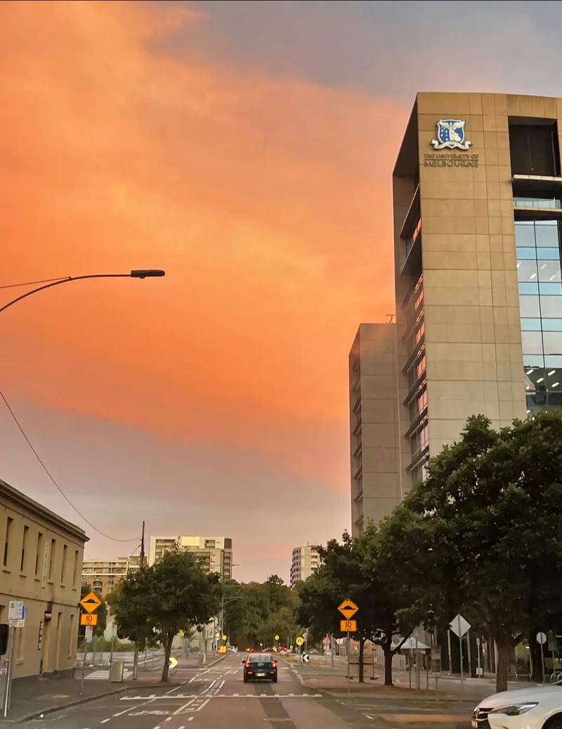 庆南健康科学大学